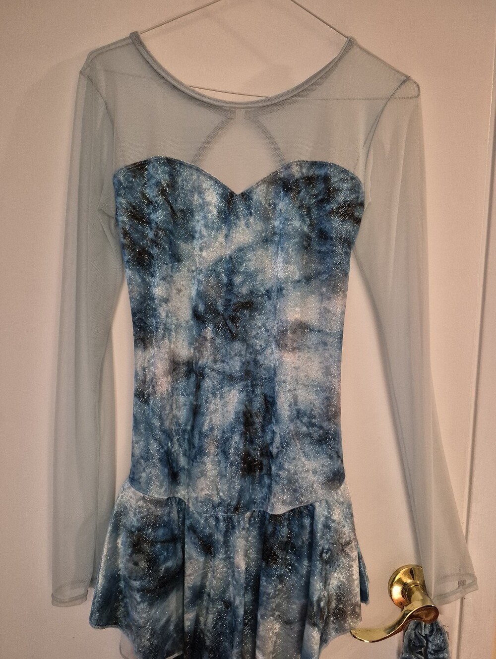 Mondor Adult XL Women's Blue patternd Velvet Mesh Long-Sleeve Skater Dress NWT